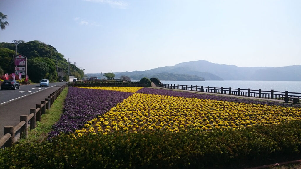 鹿兒島熊本福岡，池田湖，花田