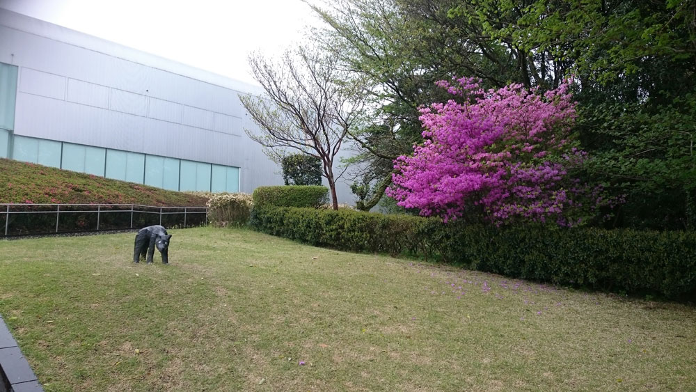 鹿兒島熊本福岡，霧島藝術之森美術館，藤浩志，與狗散步