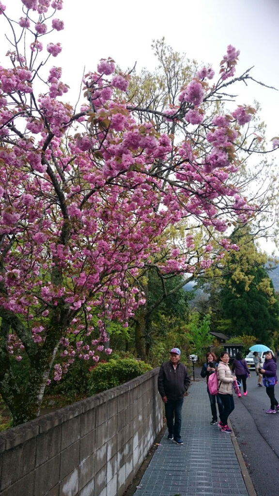 湯布院、金鱗湖 yufuin-kinrinko