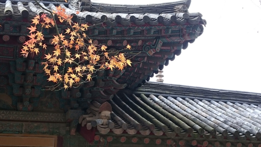 佛國寺 楓葉