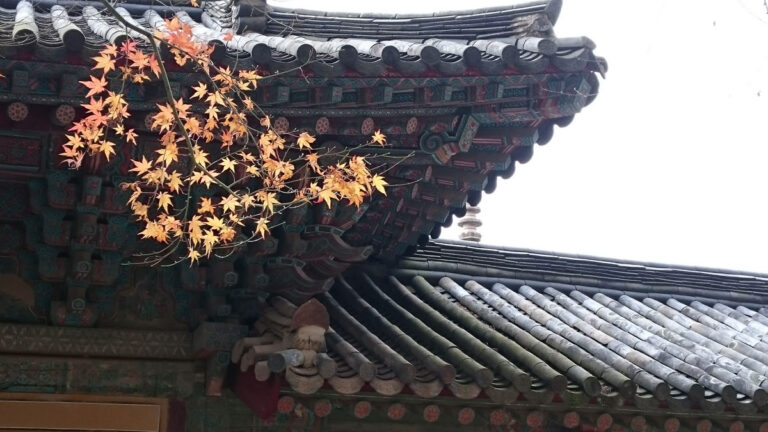 佛國寺 楓葉