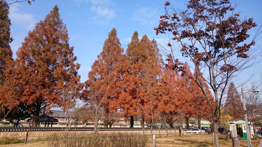 慶洲良洞村