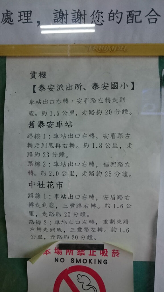 台中泰安櫻花