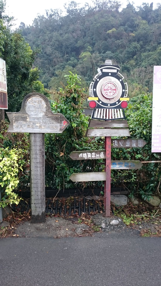 台中泰安櫻花