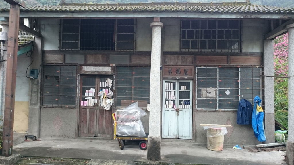 台中泰安櫻花
