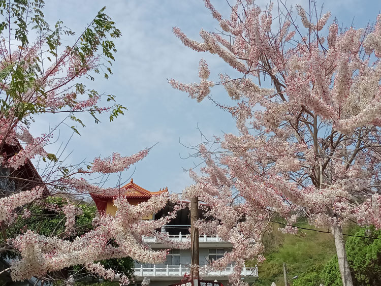 朝元禪寺