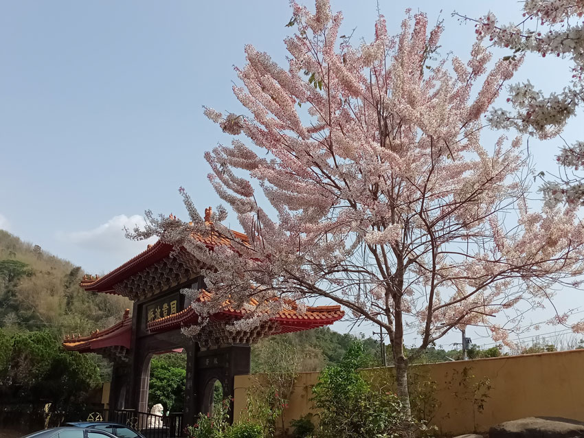朝元禪寺