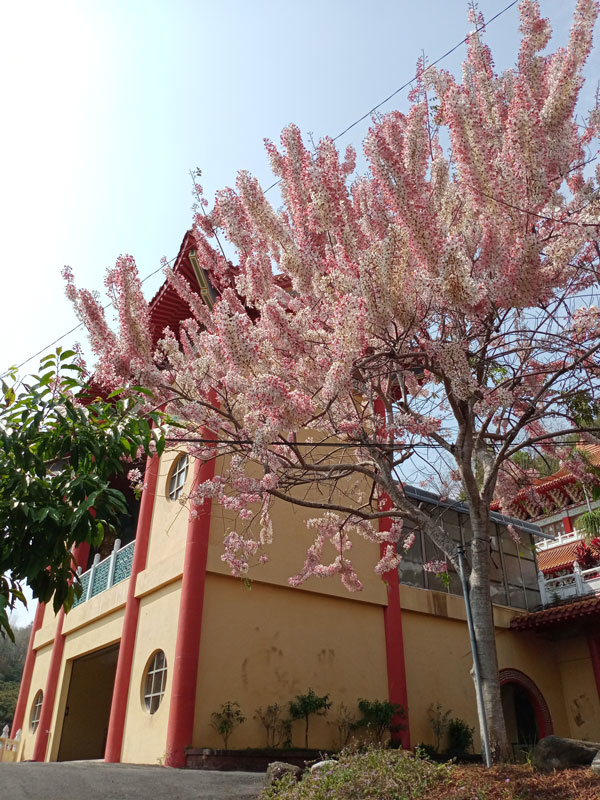 朝元禪寺