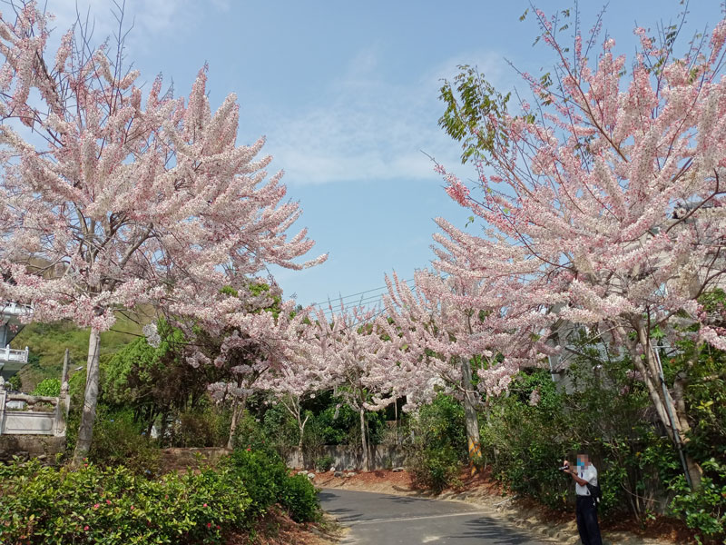 朝元禪寺