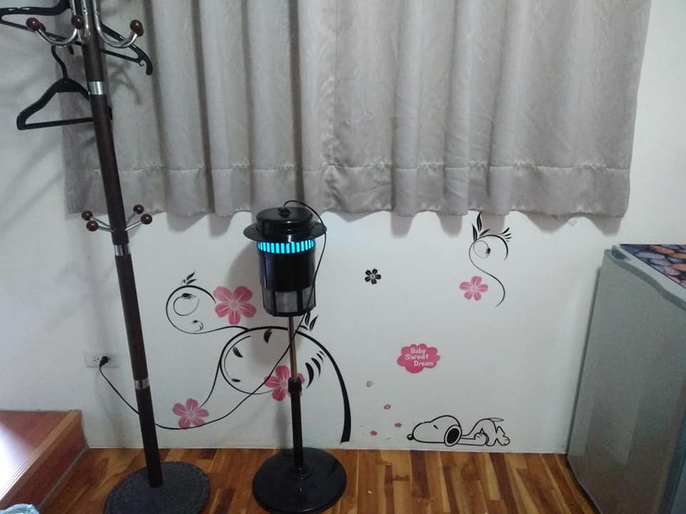 杉桐雅築民宿