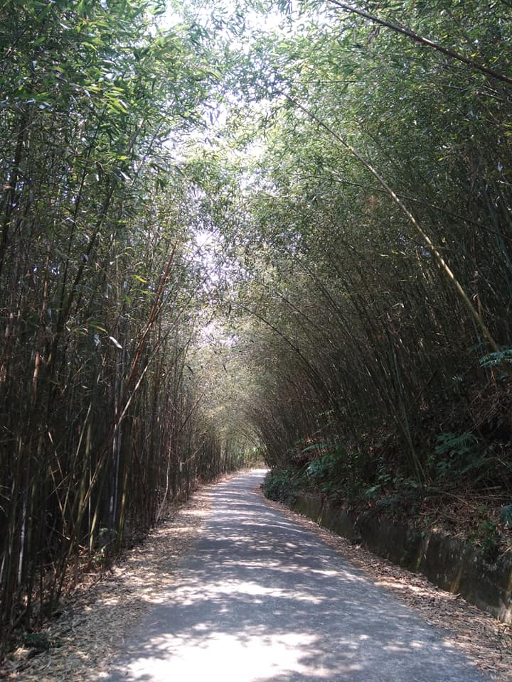 烏嘎彥竹林