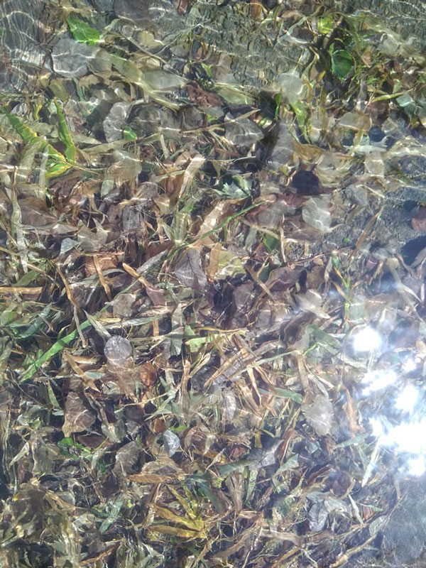 牡丹水庫