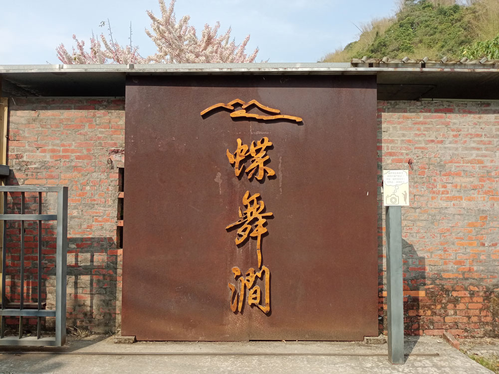 蝶舞澗花旗木