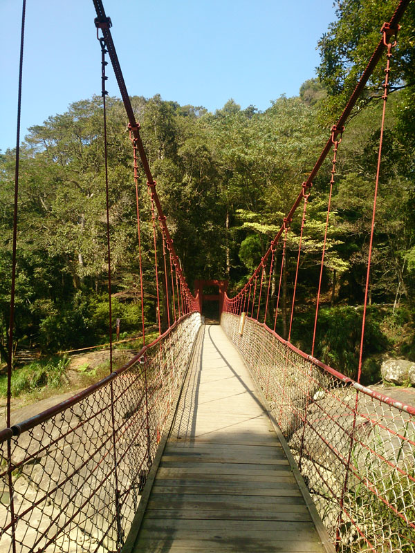 南投山林3日遊 杉林溪森林生態渡假園區 九九吊橋