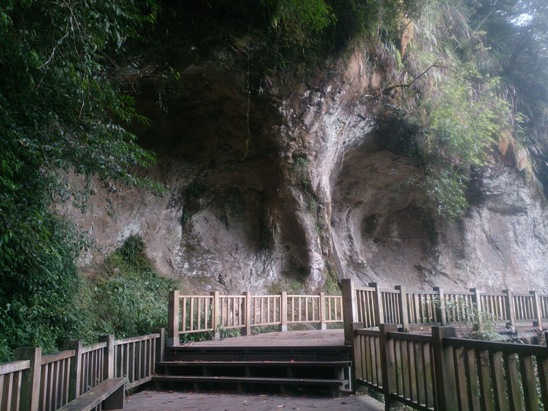 南投山林3日遊 杉林溪森林生態渡假園區 天地眼
