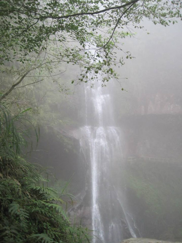 南投山林3日遊 杉林溪森林生態渡假園區 松瀧岩瀑布 (3)
