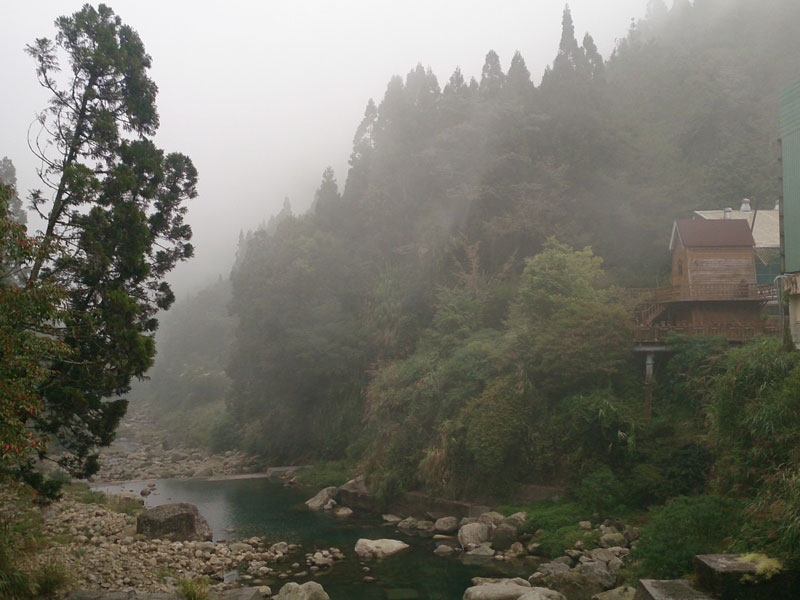 南投山林3日遊 杉林溪森林生態渡假園區 花卉中心 (3)