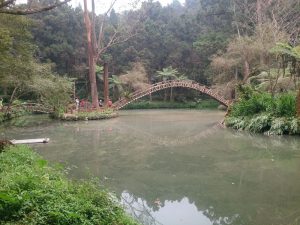 南投山林3日遊 溪頭森林遊樂園 大學池