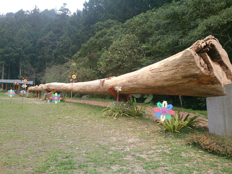 南投山林3日遊 溪頭森林遊樂園 森林城堡 (1)