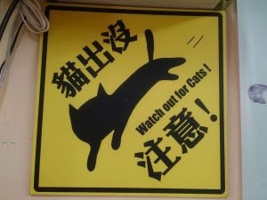 猴硐貓村 貓出沒注意警示